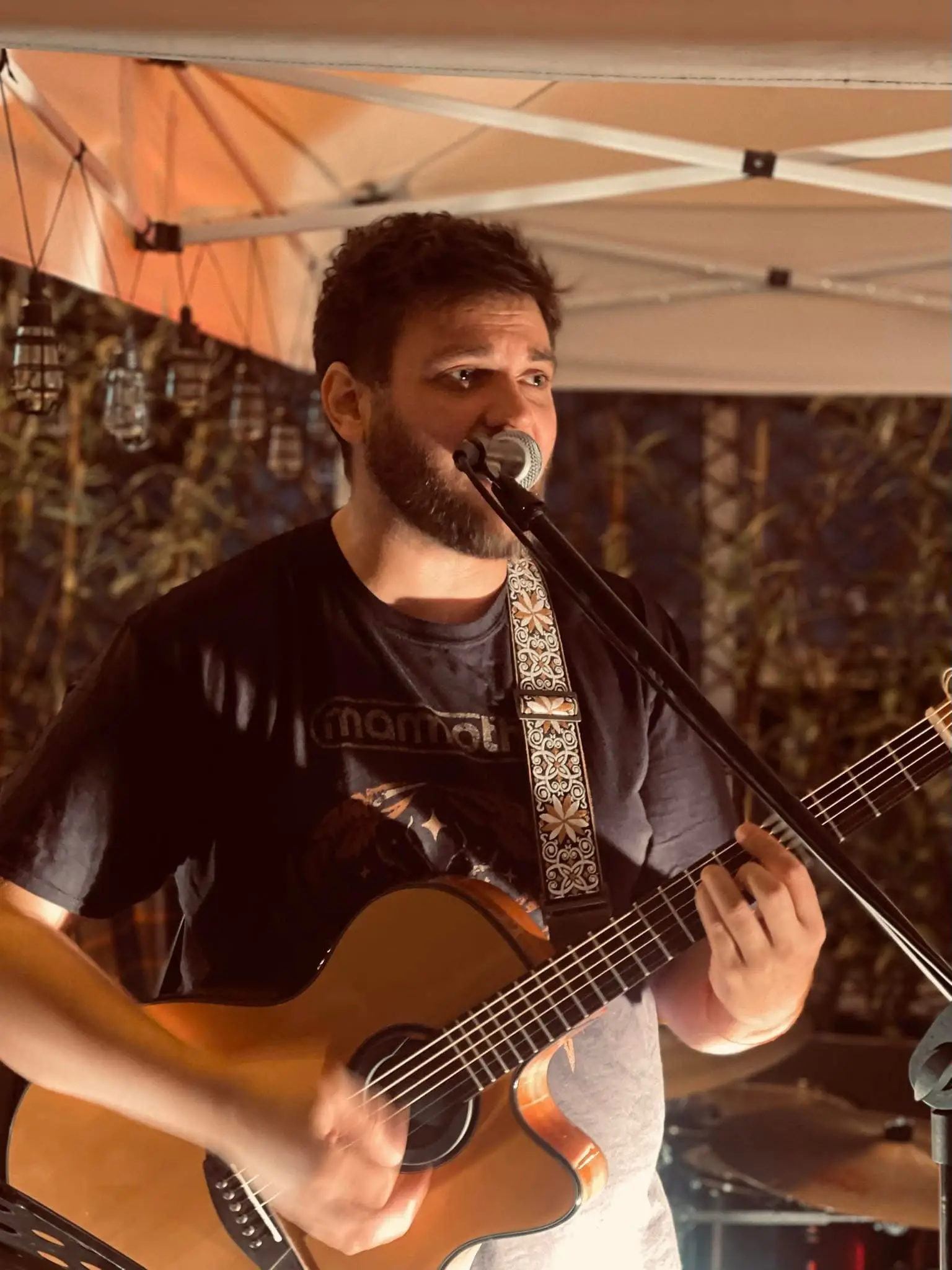 ALIVE Acoustic Band - Photo de concert 12